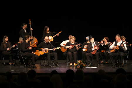 DRUMLJA, DRUMLJA, DRUMLJICA 01 FOTO LJUBO VUKELIČ